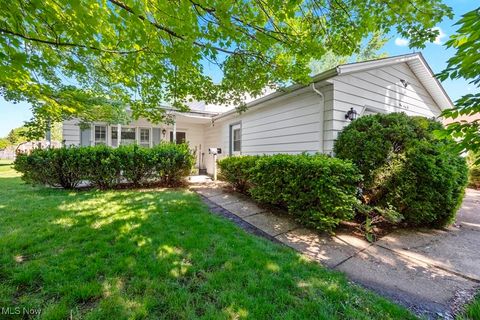 162 Indiana Avenue, Elyria, OH 44035 - #: 5125081