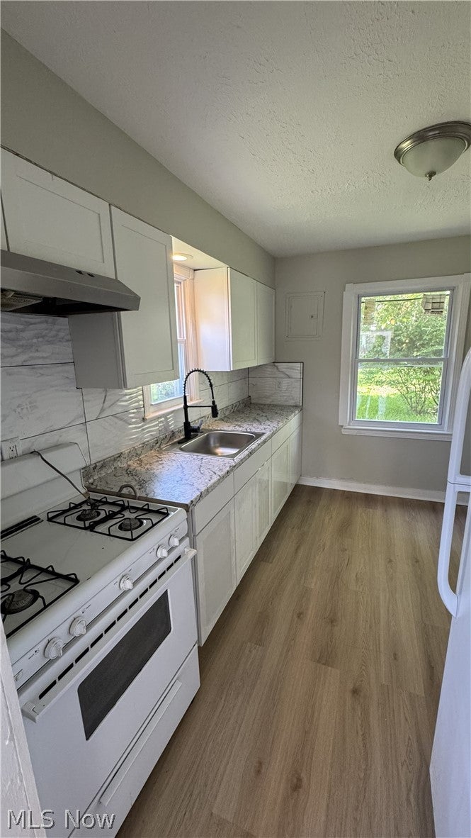 Photo of 11825 Avon Avenue, Cleveland, OH 44105 (MLS # 5215816)