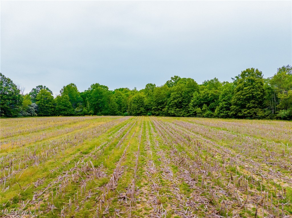 195 County Road 681, Sullivan, Ohio image 3