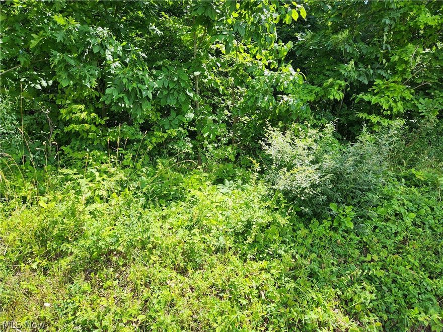 7.89 located of Southern Rd on Hardesty.  Fully wooded.  East Muskingum School District.  Great for hunting, hiking, camping or to build your home in a private setting.