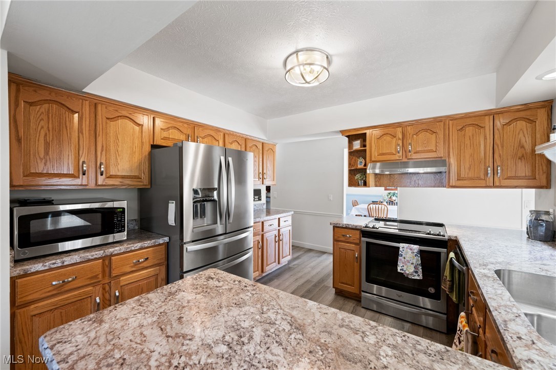 9120 Ambleside Drive, Mentor, Ohio image 4