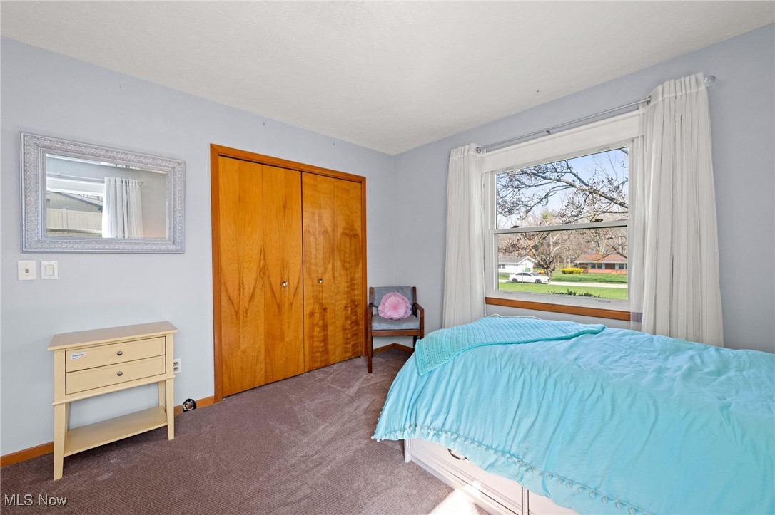 9120 Ambleside Drive, Mentor, Ohio image 18