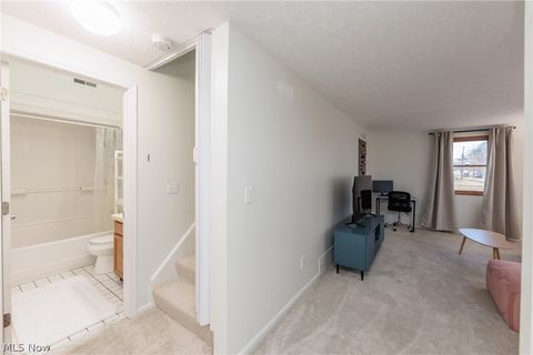 Tiny photo for 1001 Euclid Avenue, Lorain, OH 44052 (MLS # 5190344)