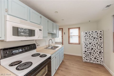 Tiny photo for 1001 Euclid Avenue, Lorain, OH 44052 (MLS # 5190344)