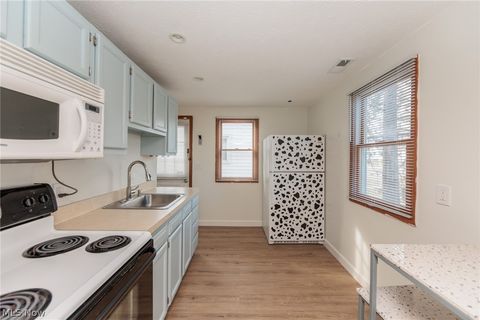 Tiny photo for 1001 Euclid Avenue, Lorain, OH 44052 (MLS # 5190344)