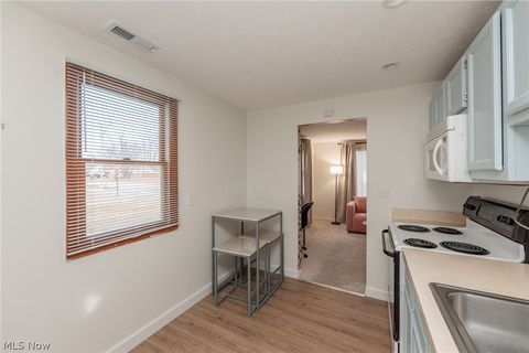 Tiny photo for 1001 Euclid Avenue, Lorain, OH 44052 (MLS # 5190344)