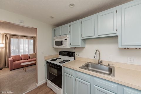 Tiny photo for 1001 Euclid Avenue, Lorain, OH 44052 (MLS # 5190344)