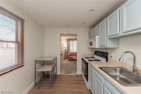 Tiny photo for 1001 Euclid Avenue, Lorain, OH 44052 (MLS # 5190344)