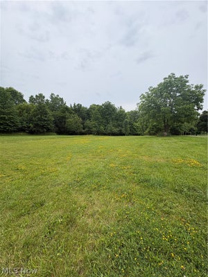 ELM DR, RITTMAN, OH 44270 - Image f15f7621dbe044e317863eddb74cc1b2/2305103147