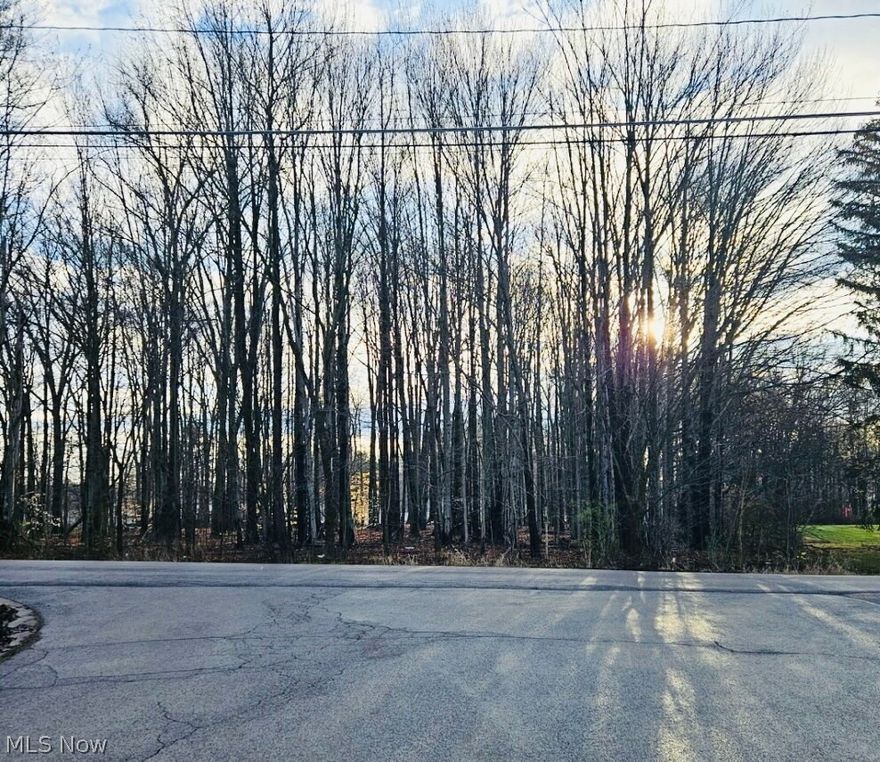 .89 ACRES wooded POLAND SCHOOLS, POLICE AND FIRE Great building lot, Poland Township Residential building code applys, no other deed restrictions. All Utilities are available R-2 zoning allows for single family residence or duplex