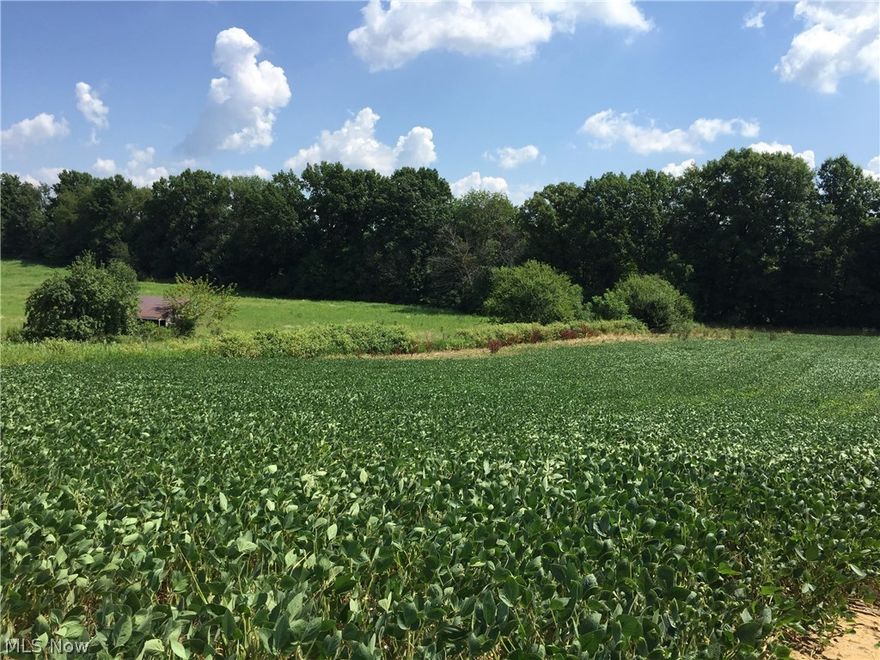 Proposed 9.84 acre building site carved from one of Jackson's most desirable farms. Overlook a picturesque pond. Lots of potential for a pool or outbuildings. Enjoy this parcel as one home-site or may be split. Accessed from Farmdale NW. Electric, gas, cable available from Farmbrooke. Septic and well or water could be extended. Additional information available upon request.