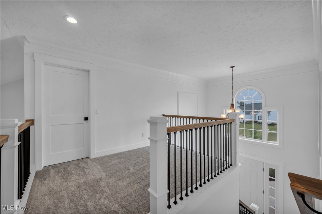 Lexington Ridge/ Steeplechase Clusters - Residential