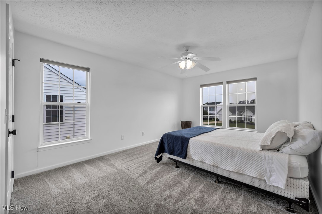 Lexington Ridge/ Steeplechase Clusters - Residential