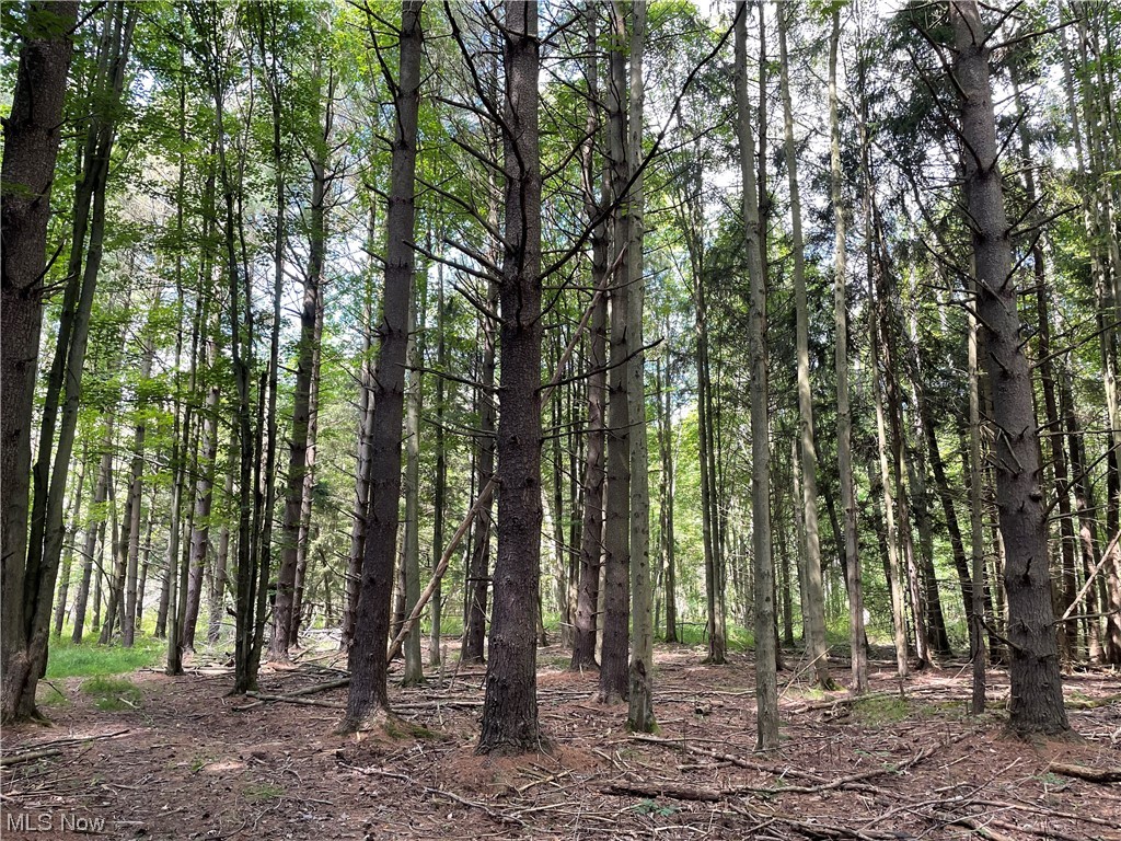 Connecticut Western Reserve - Residential