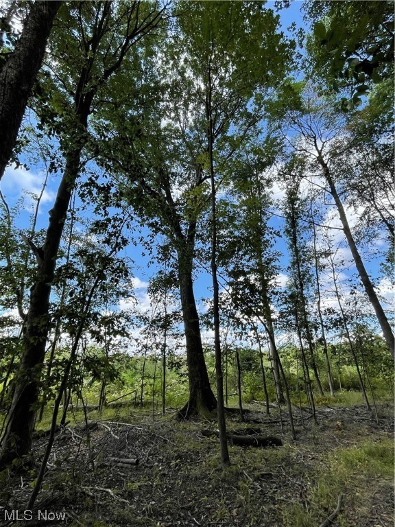 Connecticut Western Reserve - Residential