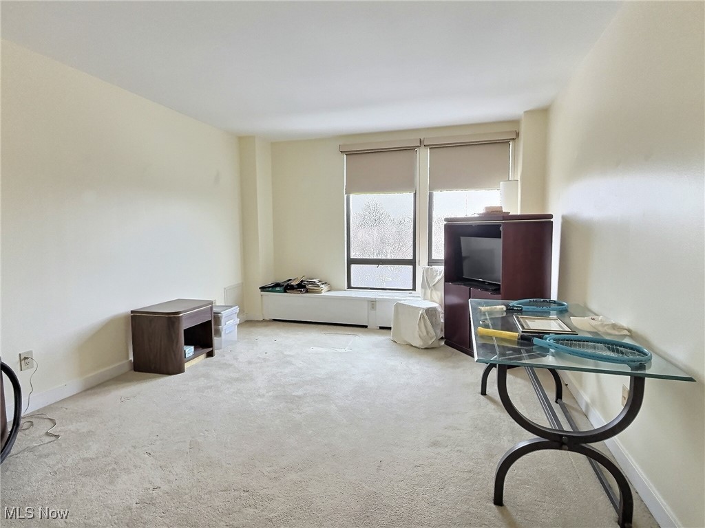 One Bratenahl Place Condo - Residential