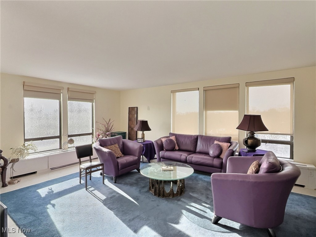 One Bratenahl Place Condo - Residential