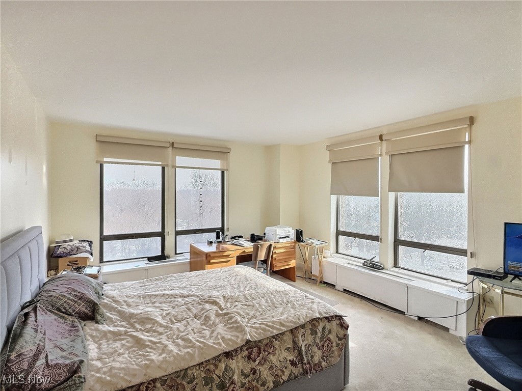 One Bratenahl Place Condo - Residential