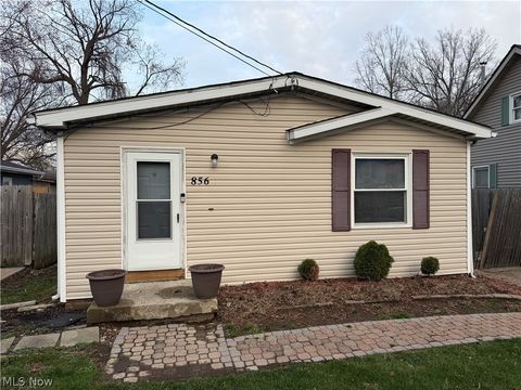 856 Beech Avenue Painesville Twp OH 44077