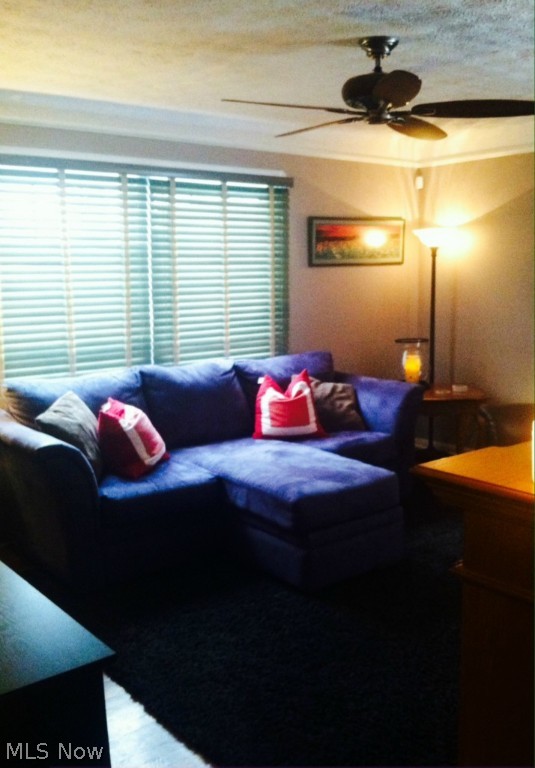 Tuxedo Heights - Residential