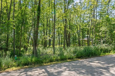 Vacant Land For Sale - Cranage Road<br/> Olmsted Falls, OH 44138