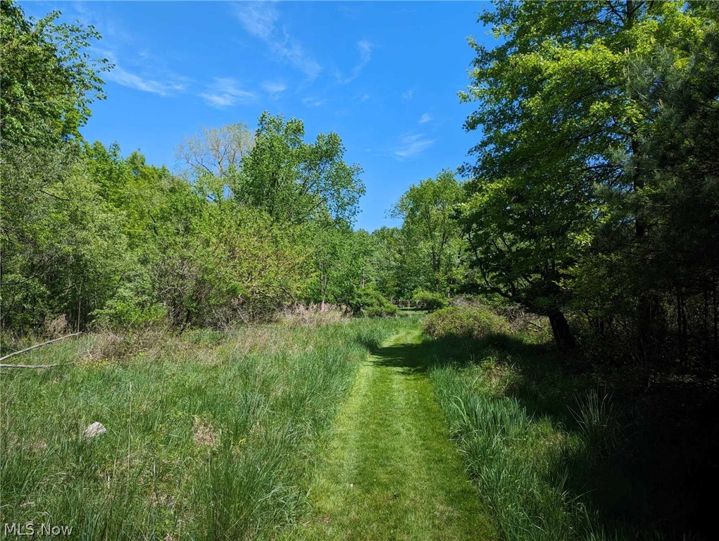 Barberry Hill, Mentor, Ohio image 6