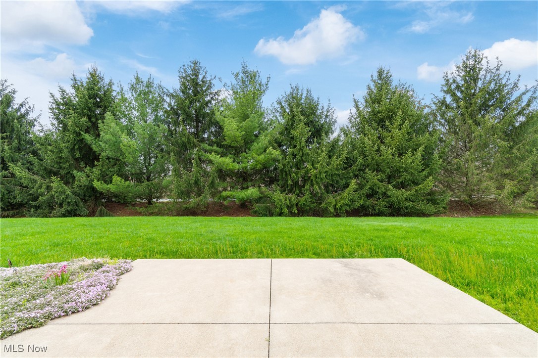 4351 Greenway Trail Street, Massillon, Ohio image 27