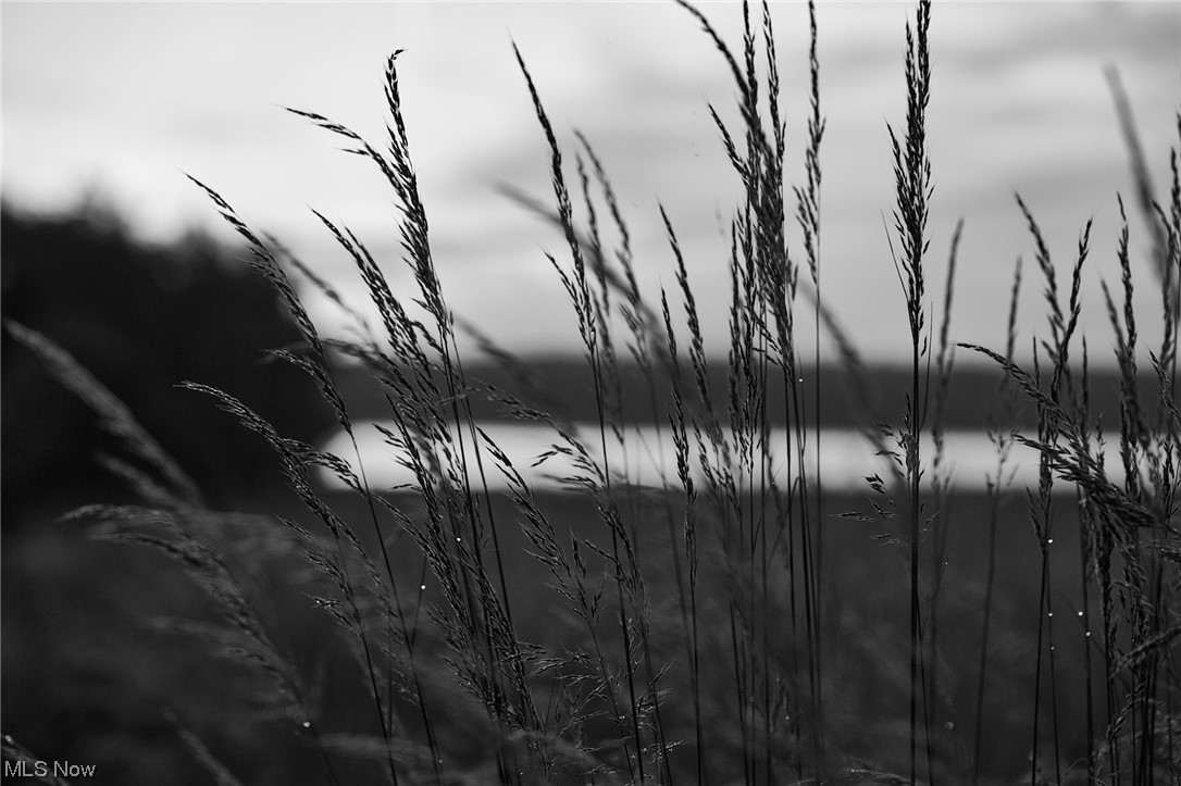 Gloria Glens - Residential