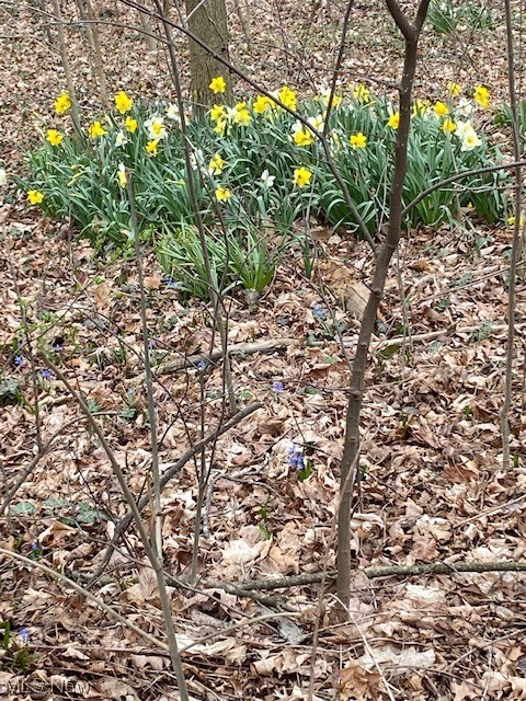 Ethan's Green / The Ledges - Residential