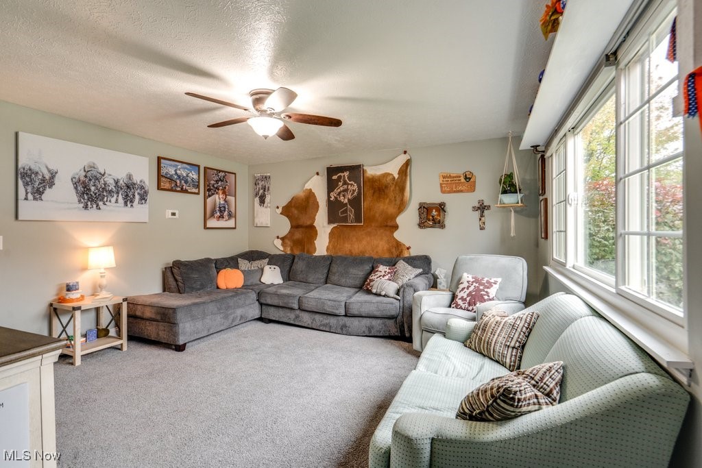 Chateau Estates #3 - Residential