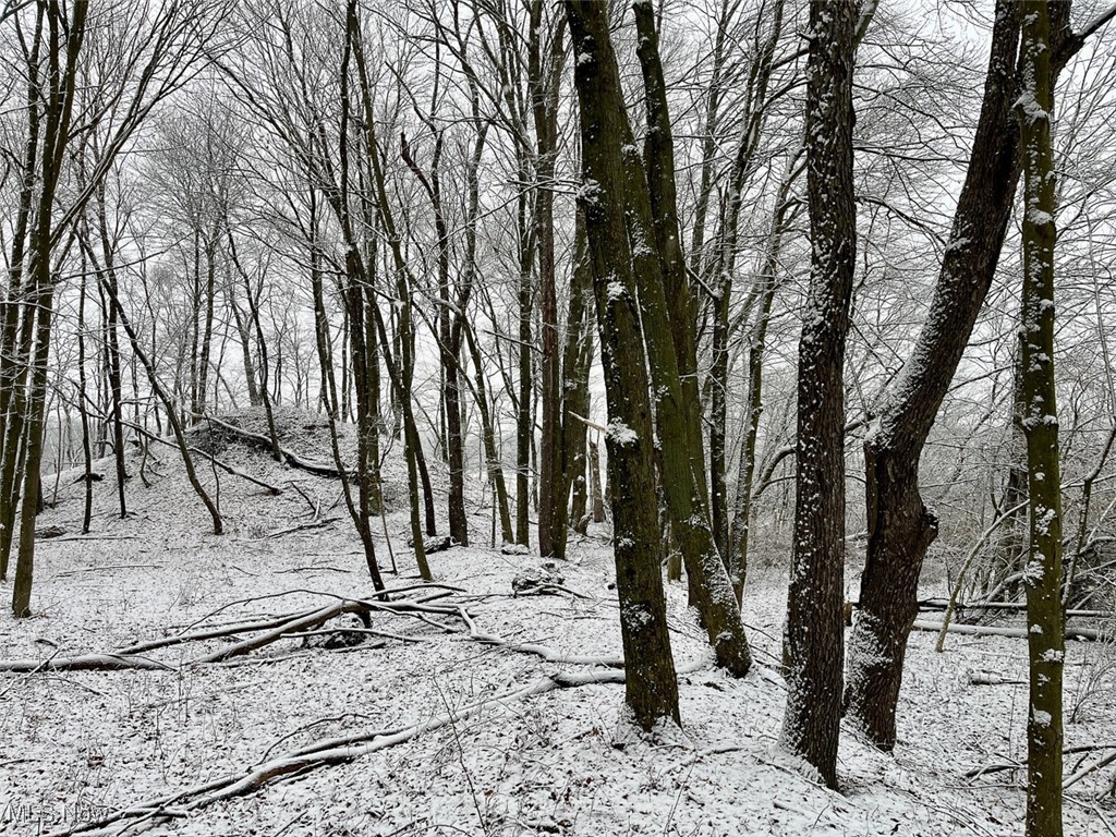 Woodline Avenue, North Lawrence, Ohio image 18