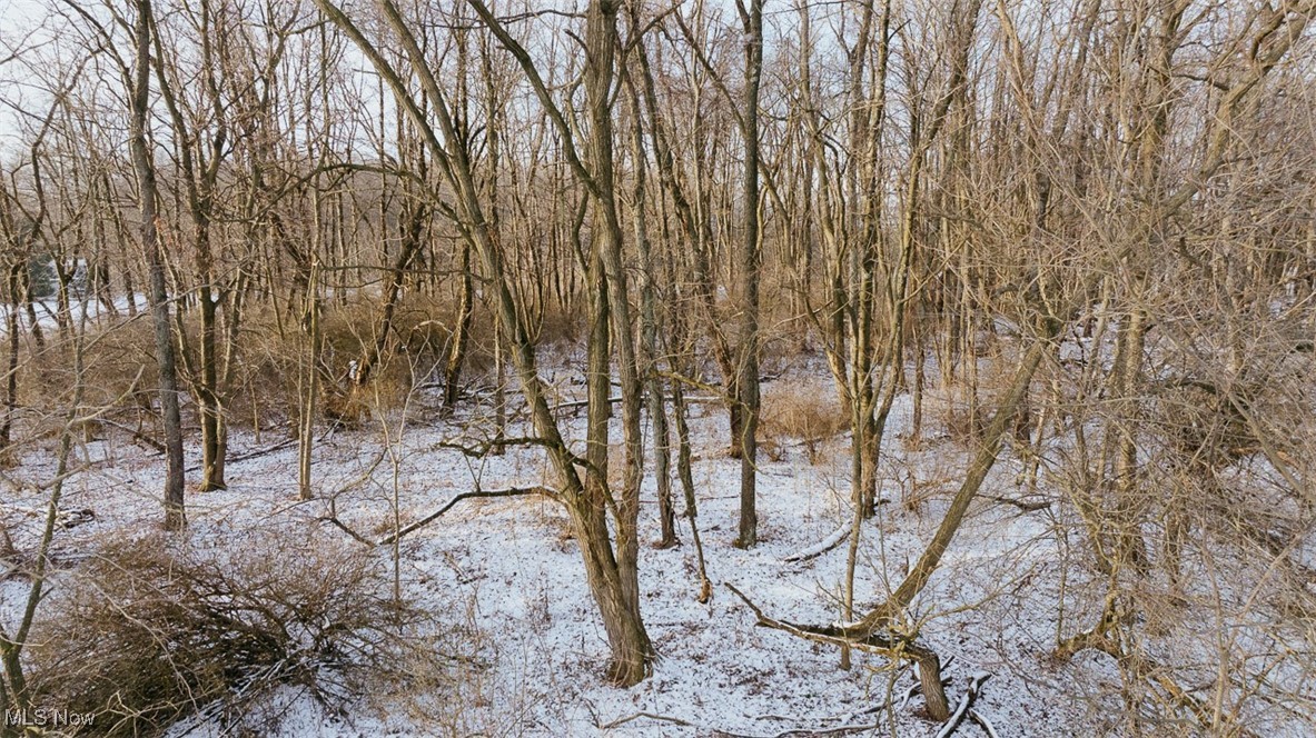 Woodline Avenue, North Lawrence, Ohio image 15