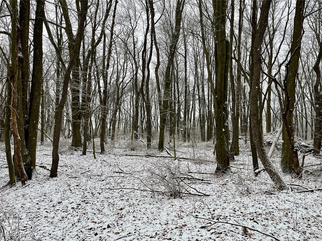 Woodline Avenue, North Lawrence, Ohio image 17