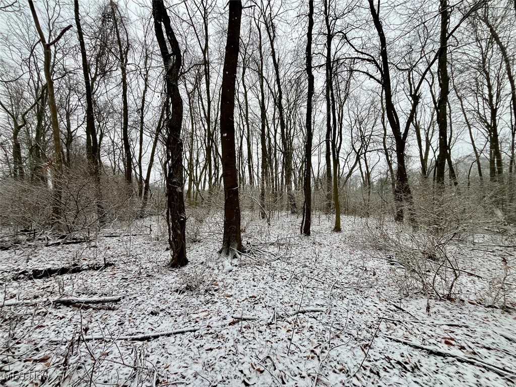 Woodline Avenue, North Lawrence, Ohio image 19