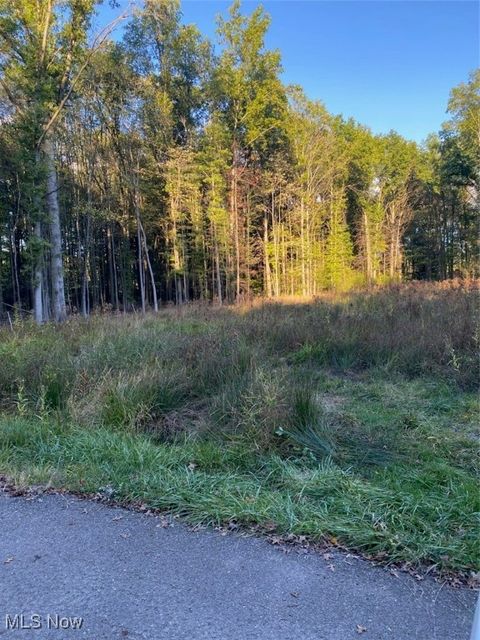 Vacant Land For Sale - Maplewood Avenue<br/> Lake Milton, OH 44429