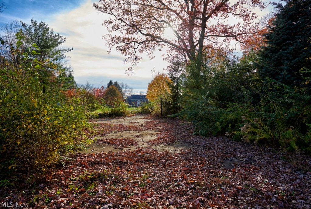 Congress Lake - Land