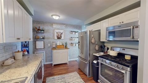 Tiny photo for 407 Maplewood Drive, Willowick, OH 44095 (MLS # 5203370)