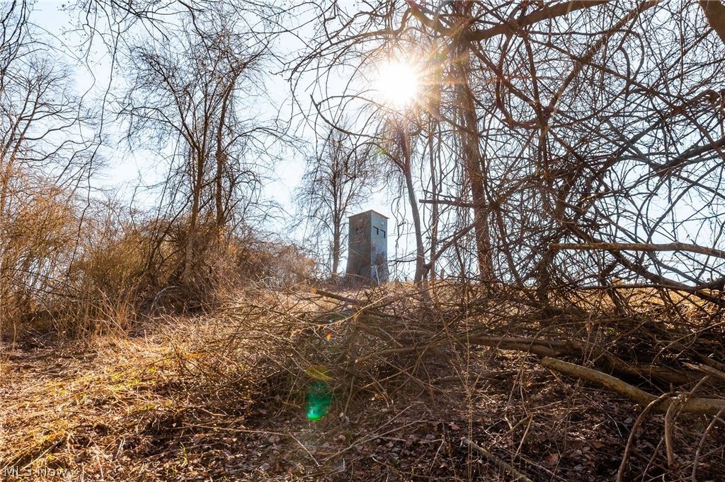 Photo of 2535 Millersburg Road, Wooster, OH 44691 (MLS # 5192698)