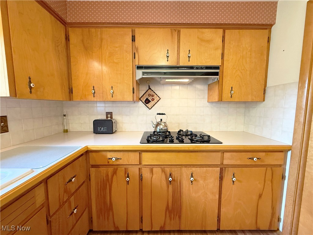 2907 Brookview Drive, Lorain, Ohio image 17