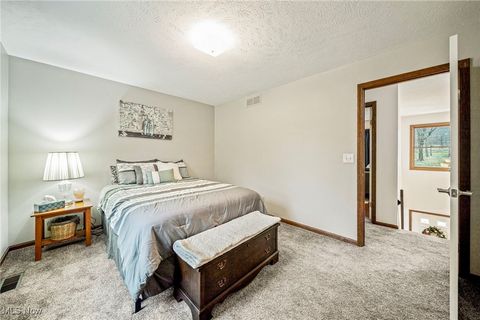 Tiny photo for 13340 Auburn Road, Chardon, OH 44024 (MLS # 5178731)