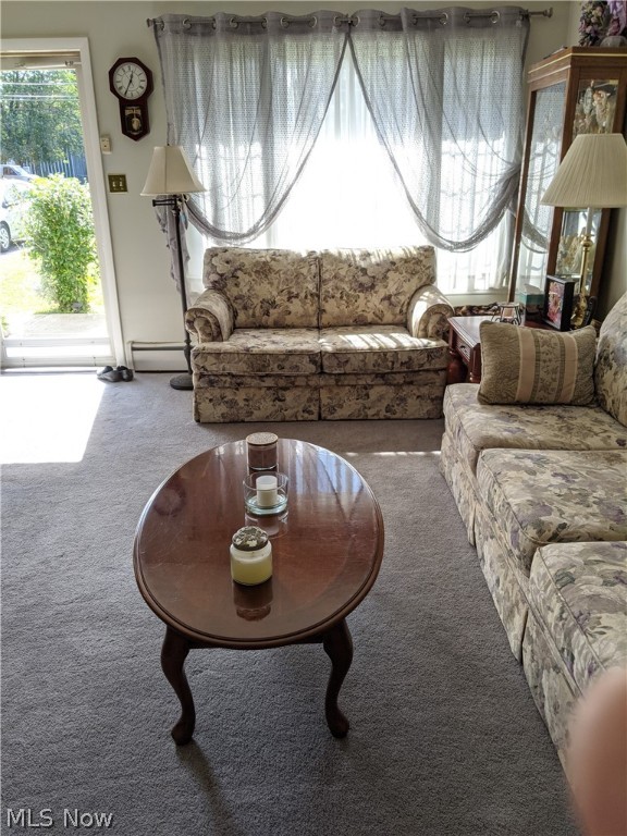 Overlook Lake Allotments - Residential