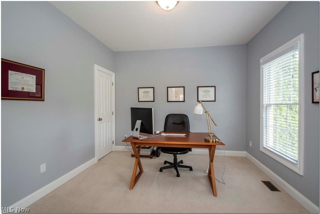 Woods Williamsburg - Residential