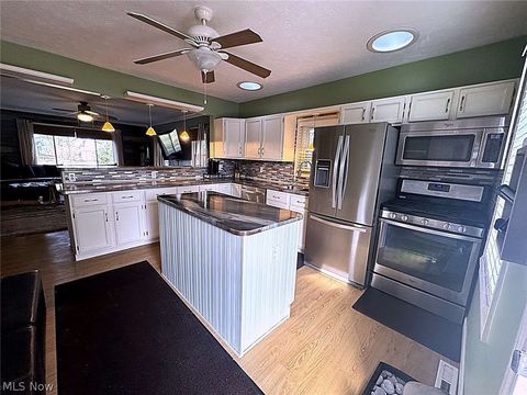 Tiny photo for 347 Riverside Drive, Painesville, OH 44077 (MLS # 5190903)