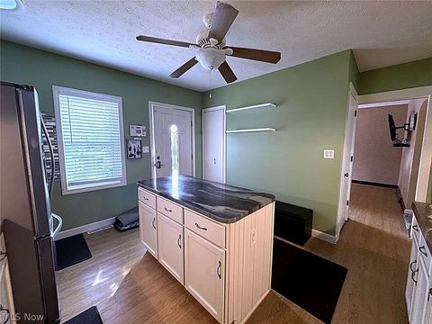 Tiny photo for 347 Riverside Drive, Painesville, OH 44077 (MLS # 5190903)