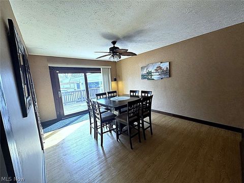 Tiny photo for 347 Riverside Drive, Painesville, OH 44077 (MLS # 5190903)