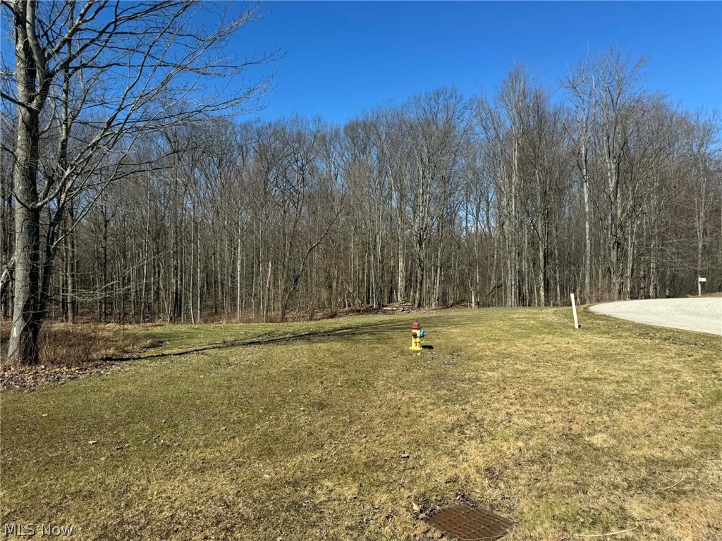 Buttonwood Estates - Land