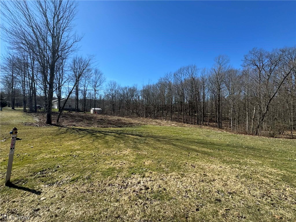 Buttonwood Estates - Land