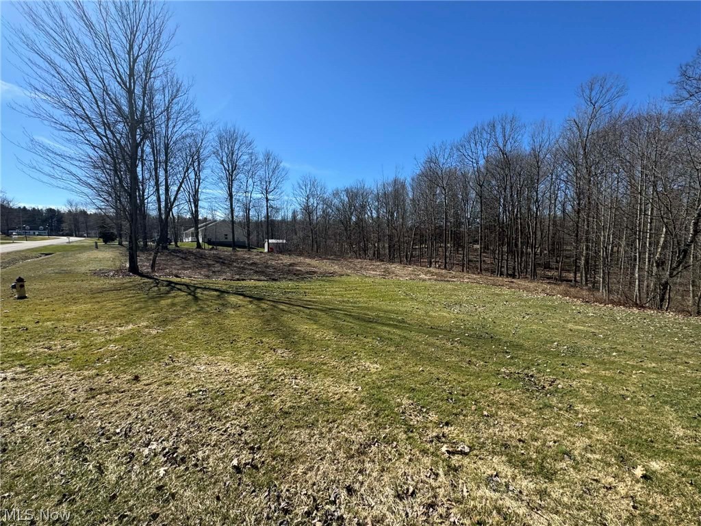 Buttonwood Estates - Land