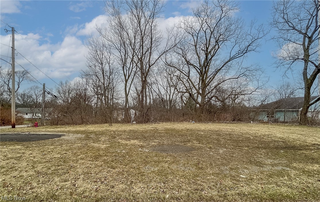 Don't miss this two parcel lot in Stow Little Farms development on the corner of Hile Rd and Kent Rd! Conveniently located near Stow shops and restaurants! Zoned R3.