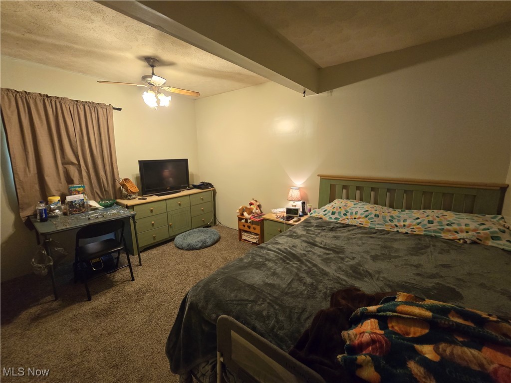 51629 Township Road 146b, Coshocton, Ohio image 12